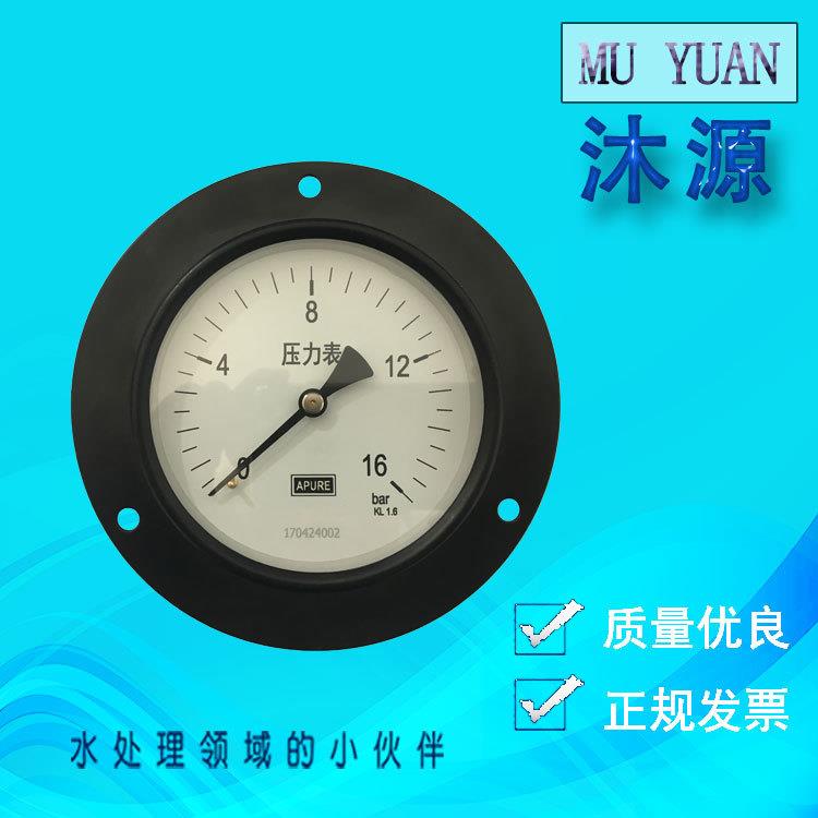 YJ-100ZT 16bar 轴向带边压力表 面板式压力表 可充油耐震压力表
