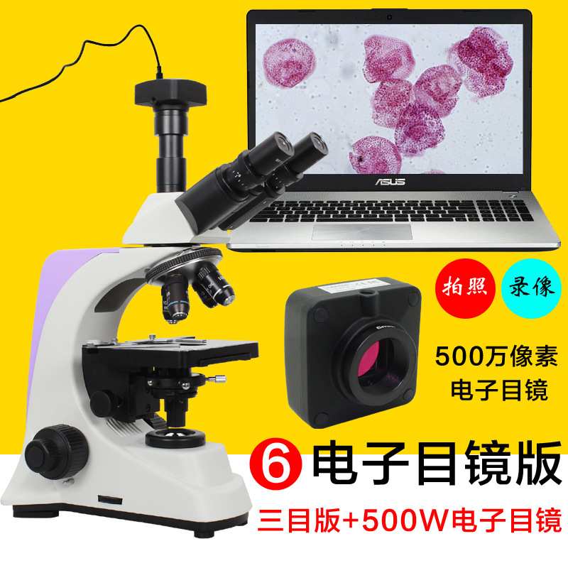 贝朗 2500倍专业生物双目显微镜显示屏高清视频科学实验颗粒藻类
