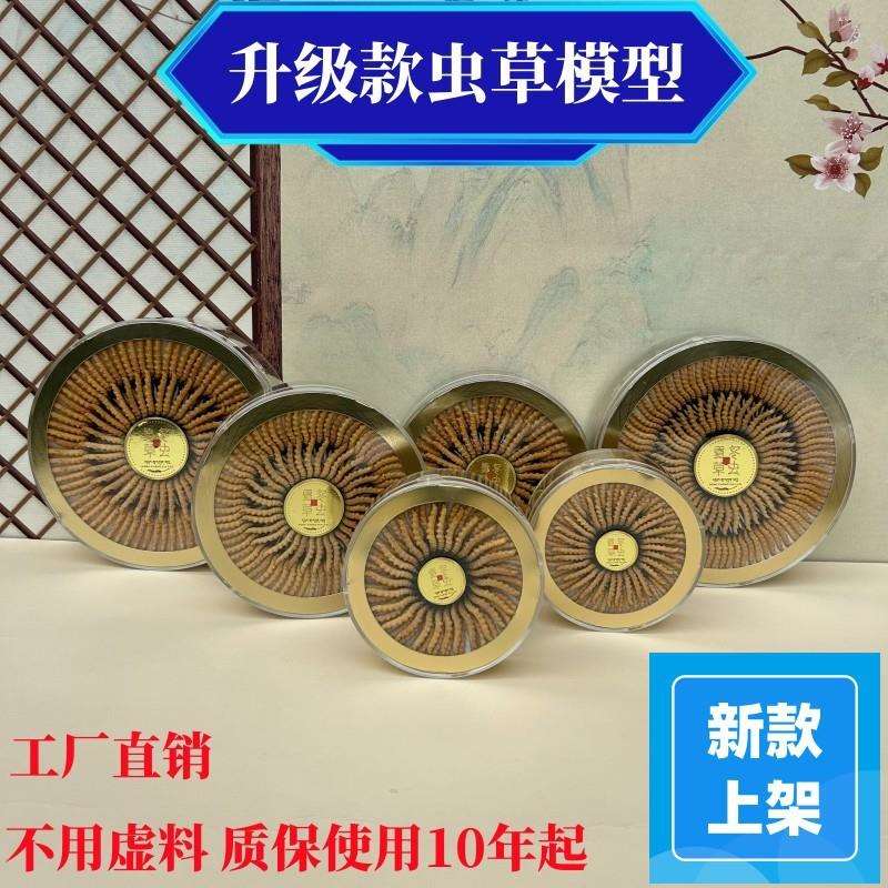 新款大号虫草模型亚克力盒装饰虫草样品塑料虫草摆样展柜