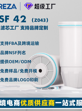 Z043碧纯净水滤芯活性炭过滤器滤芯ZR-001适配于ZeroWate水壶滤芯