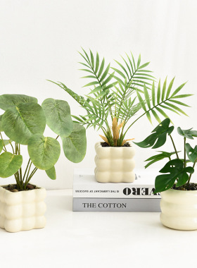 奶油风仿真绿植盆栽室内桌面小摆件仿真花假花造景客厅家居装饰品