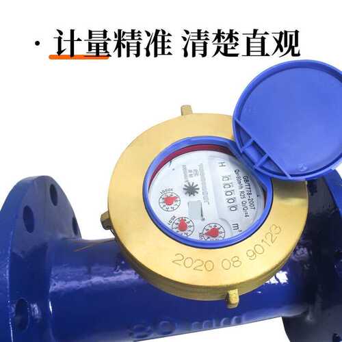 LXS旋翼式法兰水表自来水大口径工业数字冷热宁波水表dn5065100