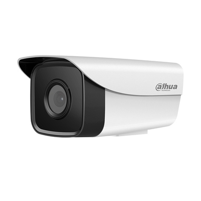 大华300/200万网络摄像头POE供电高清夜视监控室外DH-P20/30