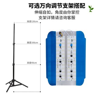 LED宽压碘钨灯50W 600W高亮工地排挡投光灯地摊灯110V碘钨灯