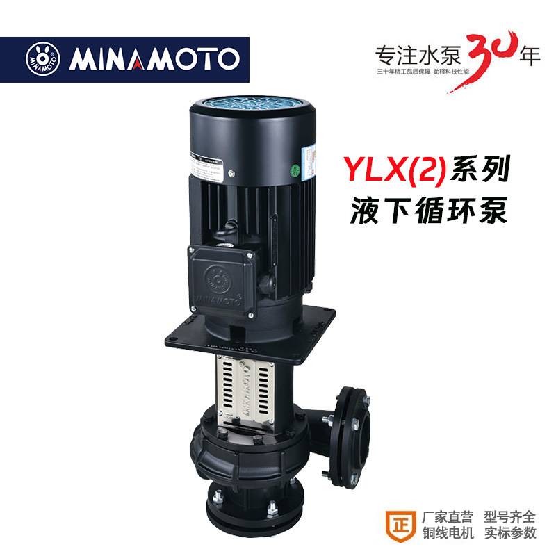 380V液下循环泵特殊电压立式电动液下YLX(2)250-40流程式循环泵