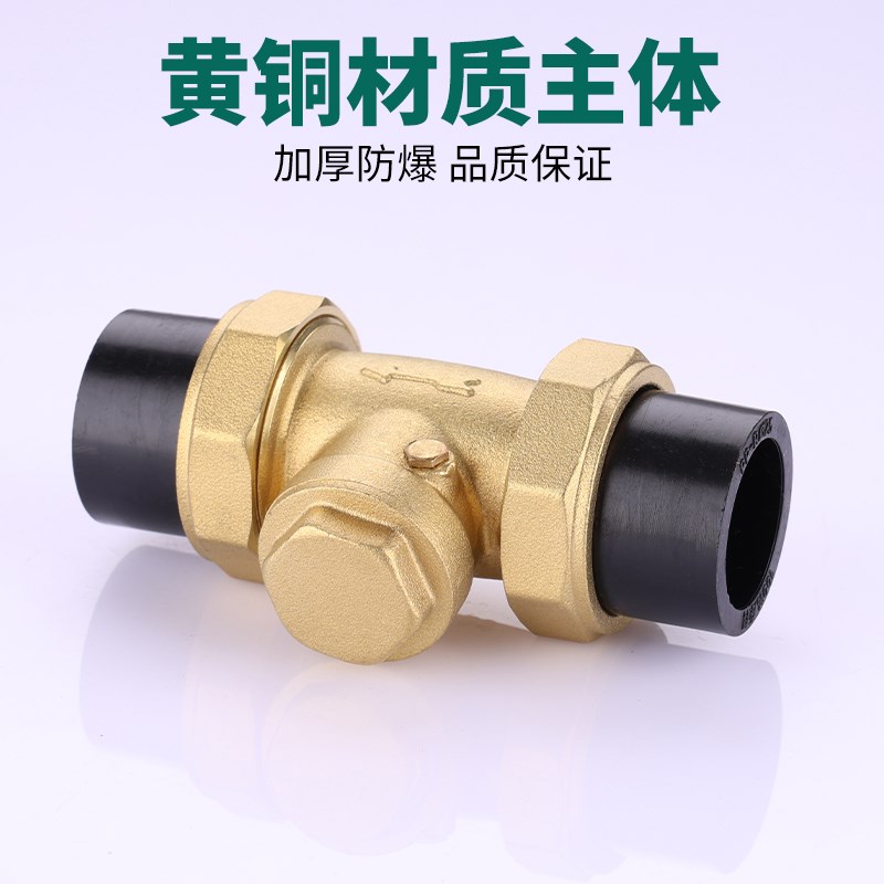 PE止回阀铜卧式双活接单向阀自来水水管热熔逆止阀4分6分DN20/25