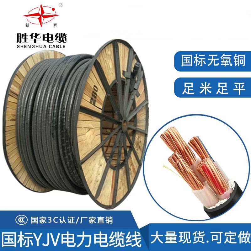 上海胜华铠装铜芯电缆线0.6-1KV