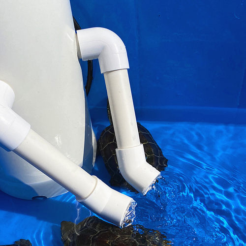 乌龟缸免换水过滤器低水位龟池龟箱除臭静音鱼马桶鱼缸粪便分离器