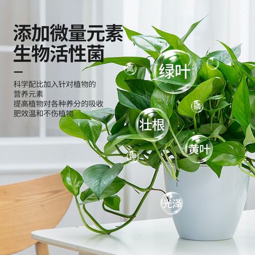 营养液植物通用型绿萝富贵竹发财树多肉水培养花卉绿植盆栽花肥料