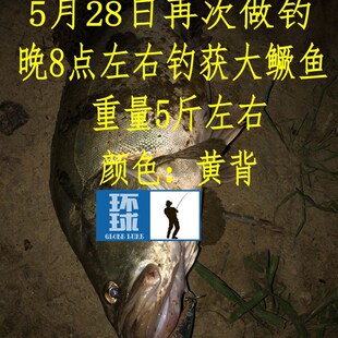 浅滩米诺浅水米诺路亚饵磁控定位重心转移翘嘴鲈鱼路亚饵远投米诺