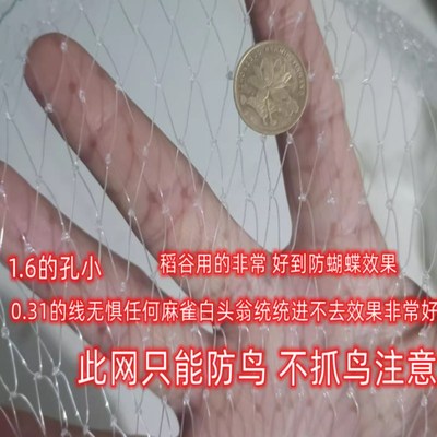 果园防鸟罩防护网果树葡萄园防A乌用蔬菜园地种农用小鸟保护防雹