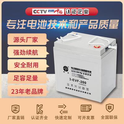3-EVF-200胶体免维护蓄电池6V200Ah电动车升降平台环卫车拉货车