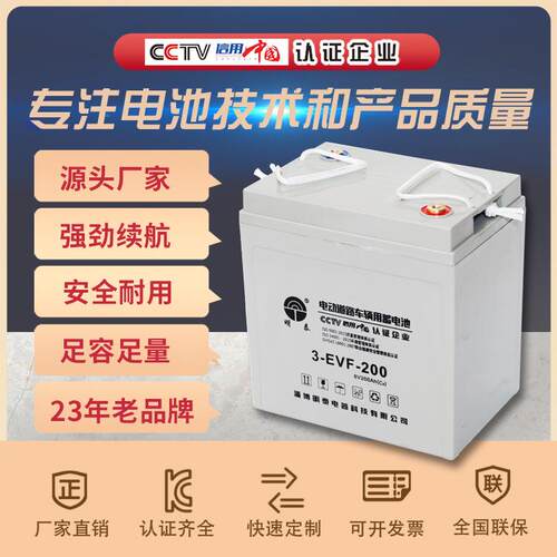 3-EVF-200胶体免维护蓄电池6V200Ah电动车升降平台环卫车拉货车