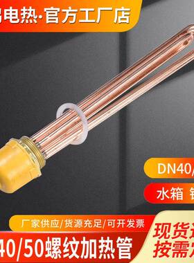 紫铜加热棒DN40/50空气能水箱电热管工业大功率380V220V6/9/12KW