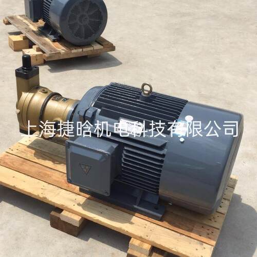 油泵电机组25SCY-Y132M-4内插式油压马达7.5KW三相异步电机