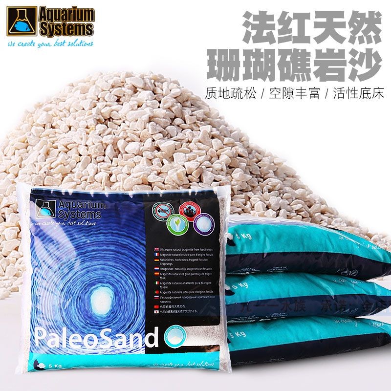 海缸造景珊瑚沙海沙菲律宾沙子粗沙细沙天然鱼缸底砂海砂珊瑚骨石