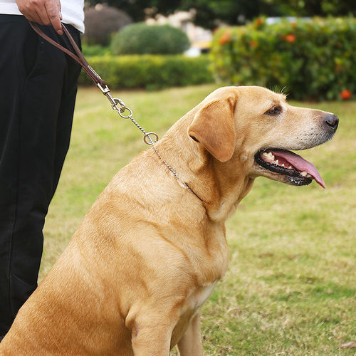 防爆冲训犬P链中大型犬狗链子狗狗牵引绳P字不锈钢项圈