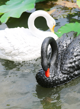 户外别墅花园庭院小水池鱼池装饰造景观仿真动物雕塑浮水天鹅摆件