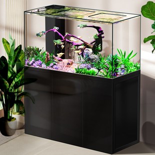新款 水刀一体拉筋龙鱼缸专业底滤水族箱客厅家用高端生态免换水缸
