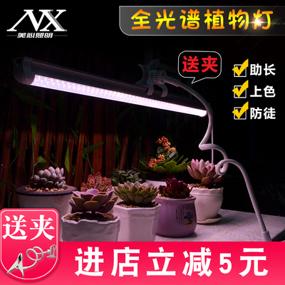 植物灯生长灯LED全光谱仿太阳室内家用花卉光照灯上色多肉补光灯