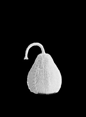 现代简约白色毛球梨形摆件客厅玄关卧室酒店电视柜软装家居装饰品