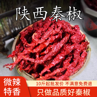 正宗陕西秦椒干辣椒香而不辣微辣特香红油泼辣子秦椒餐饮商用批发