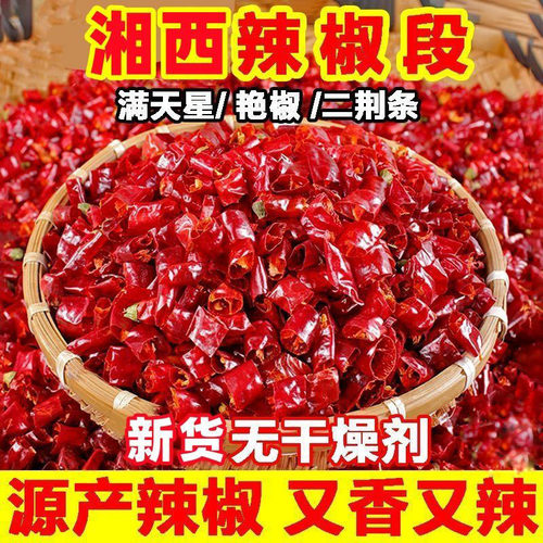 辣椒段特辣批发商用香辣餐饮专用家用辣段爆辣特辣辣椒段批发家用