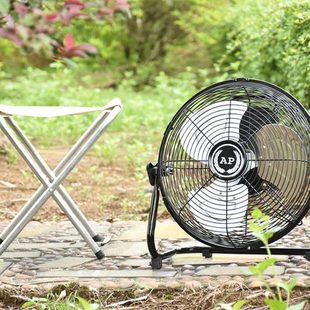 AP工业风扇 16寸强力大功率爬地扇趴地扇落地扇大风量电风扇 12寸