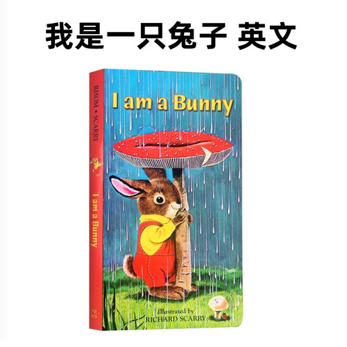 英文原版我是一只兔子