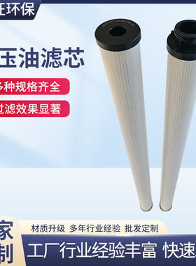 过滤器设备液压滤芯N40FM-S020-PP1F润滑油液压油滤芯