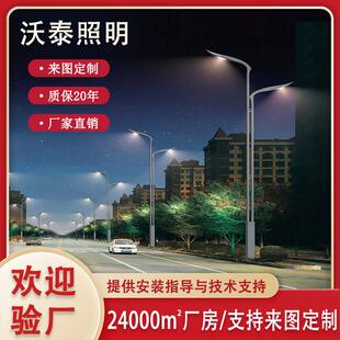 厂家直销6~12米翔翼特色路灯户外防水led路灯特色景观路灯