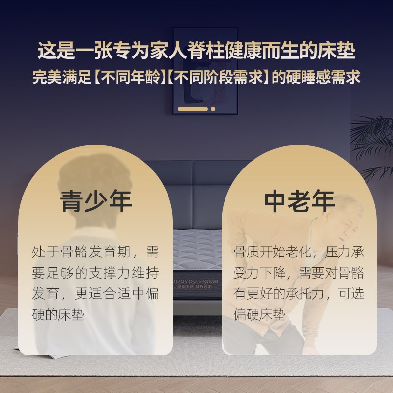 左右乳胶弹簧床垫棕垫天然环保椰棕加厚24cm护腰护脊家用DZM6006
