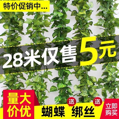 彷真植物藤条爬山虎葡萄叶绿s树叶塑料假花水管道缠绕藤蔓悬吊式