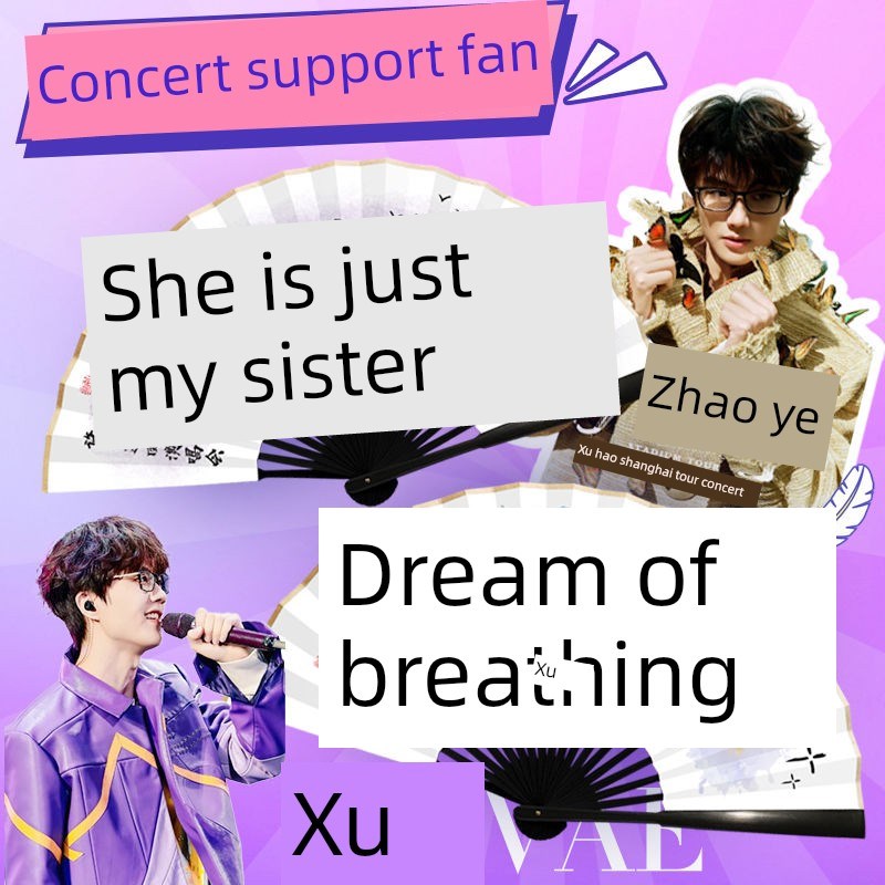 许嵩应援扇子演唱会呼吸之野应援扇子H定制妹妹说紫色很有韵味折