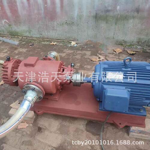双螺杆泵2WW柴油机油润滑油汽油煤油轻油沥青胶水螺杆泵