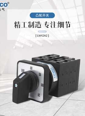 卓超牌LW42A2-1008 202A 2811/LP405带锁带单孔 凸轮开关