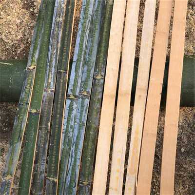杆保暖棚片竹条青竹竹竿横幅搭蔬菜新鲜竹片大棚农用竹条龙骨拱棚