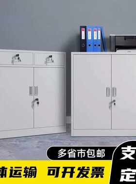 办公铁皮矮柜文件柜阳台小型工具柜宿舍更衣柜带锁抽屉收纳储物柜