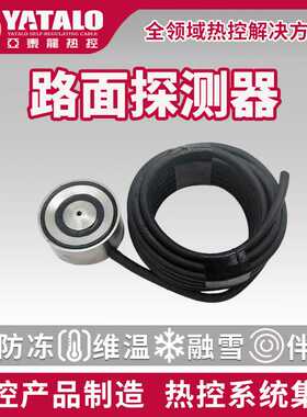 自动化冰防坠落 RSSC-II屋面天沟电伴热系统 耐低温传感器控制器