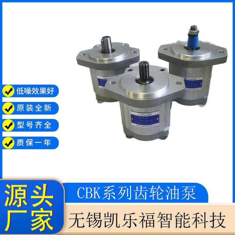 长江系列齿轮油泵CBK1004-B1FR油泵厂家 液压站油泵