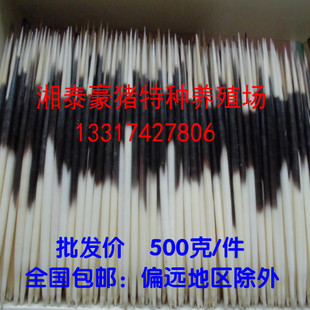 养殖豪猪刺包豪0毛 刺猪刺 箭猪刺  5猪0克一件  邮