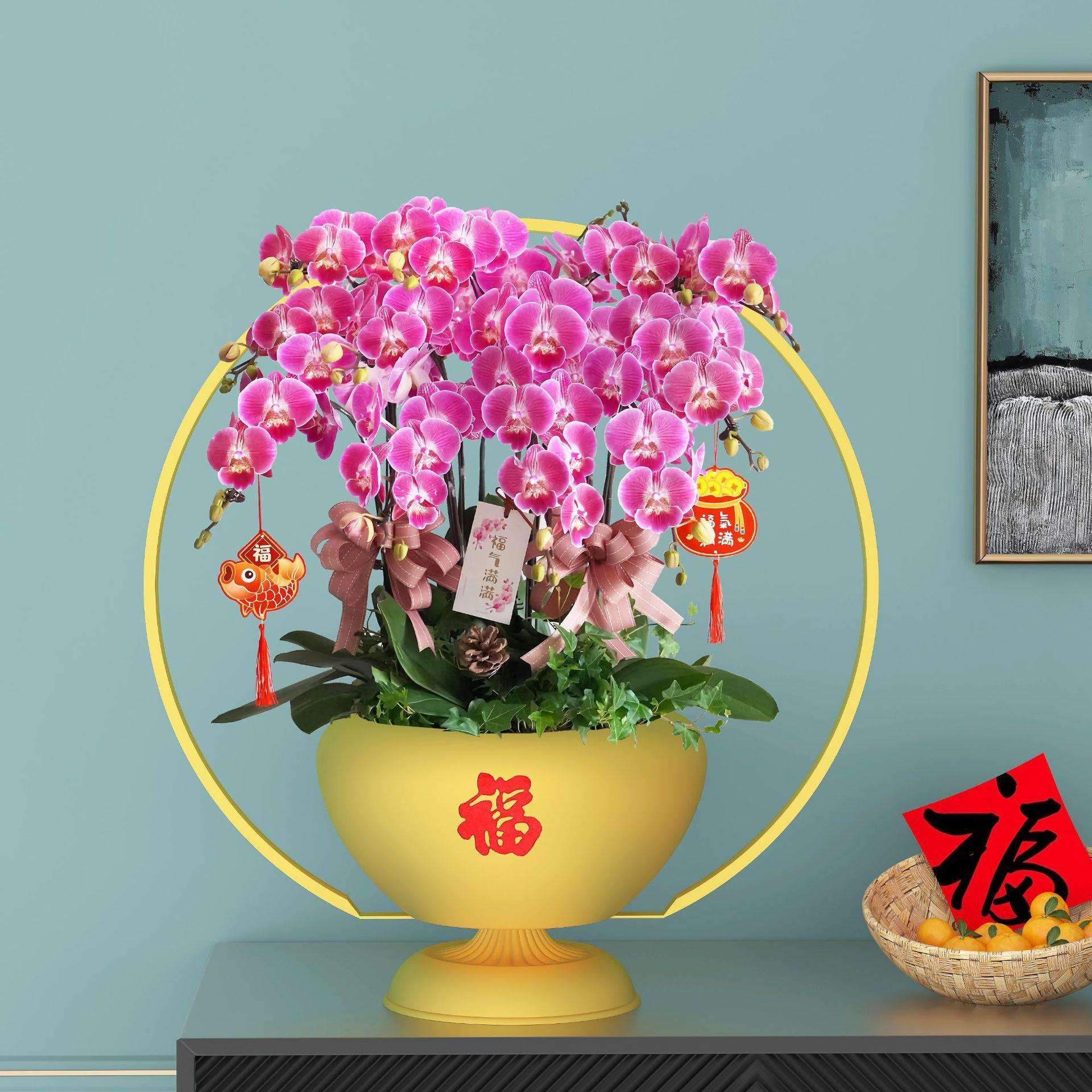 新中式蝴蝶兰花盆花架仿真植物花盆简约轻奢年宵花盆栽摆件大号