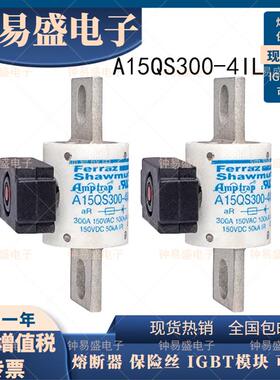 FERRAZ罗兰保险丝A15QS300-4 A15QS300-4IL A15QS350-4美尔森熔芯