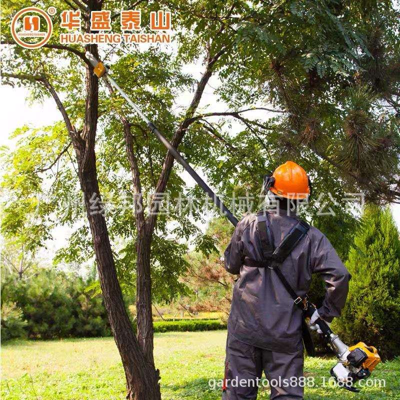 山东华盛高枝锯高枝油锯 可伸缩工作杆4.3米大功率QJB270汽油链锯