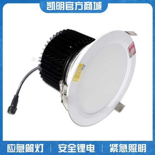 led应急射灯25w30w35w40w50w锂电EPS应急照明灯高顶天花灯厂家