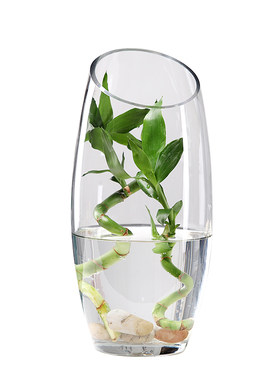 透明玻厅花瓶 创意炮弹造型斜口干花插花花装客璃富贵竹器饰摆饰