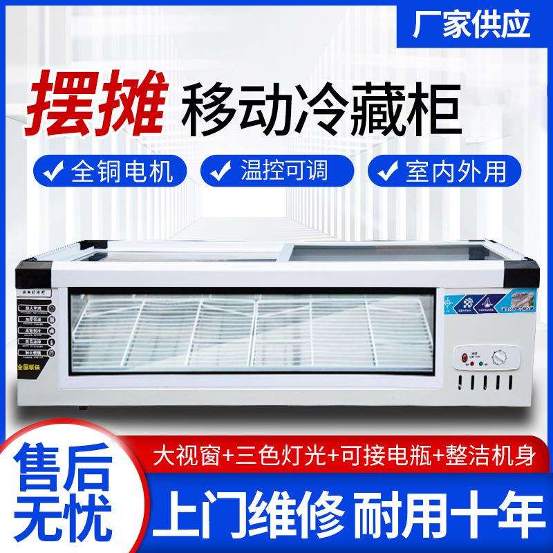 冷藏展示柜商用可移动小型冰箱冷冻柜三轮车摆摊冰柜小吃炸串台式
