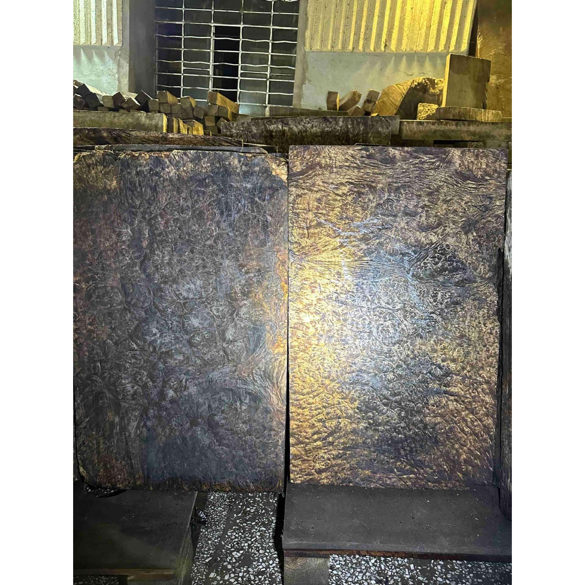 黄金樟木 山香果树瘤家具面板料 爆满树瘤品质 茶盘料 工艺品料