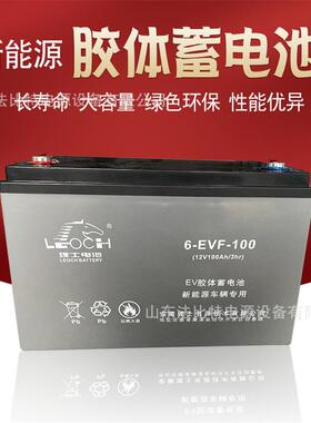 安徽理士动力型蓄电池6-EVF-100B免维护12V100Ah 电动洗地车