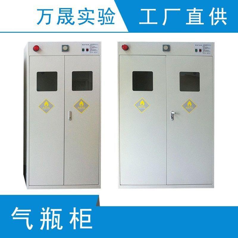 实验室全钢气瓶柜